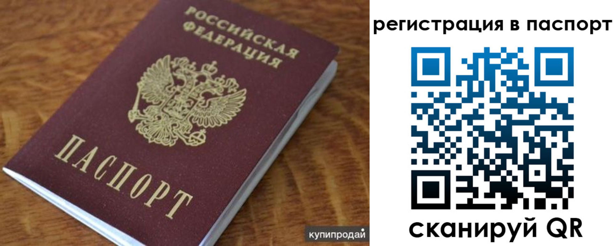 временная регистрация гарантия в Московской области